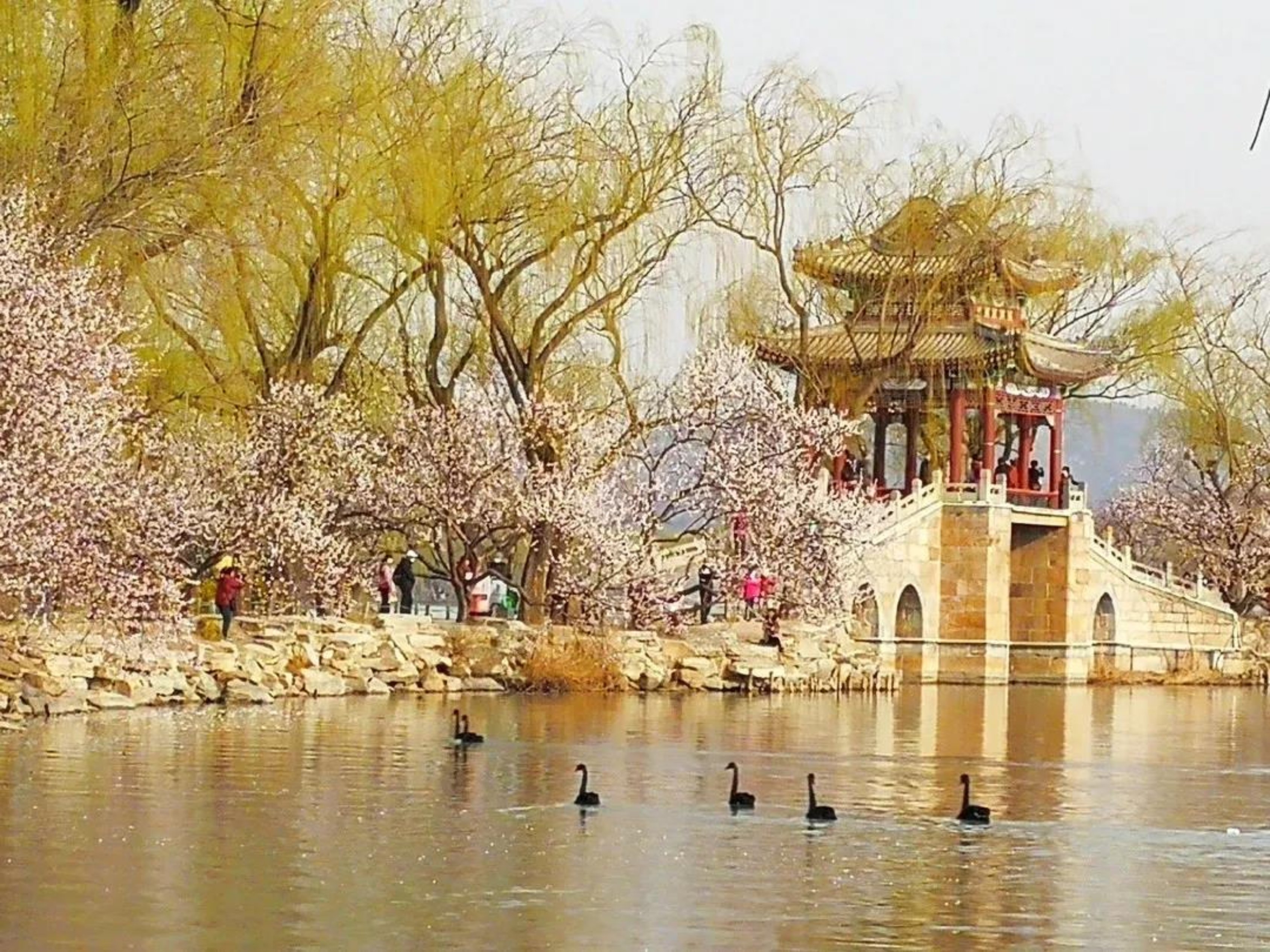 //jszx1.shengkong.org../../images/content/2020-09/20200924151330445933.jpg